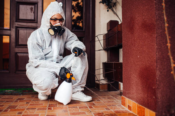 Reliable Wasp Removal contractor in Centerville, IN by Show Me Pest Control